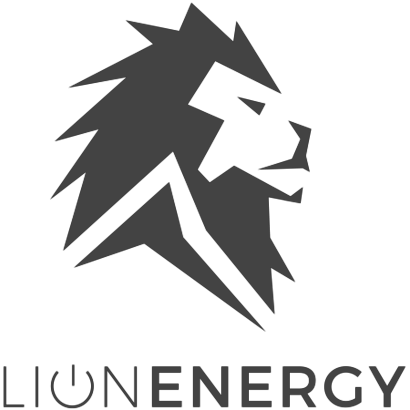 Lion Energy Login